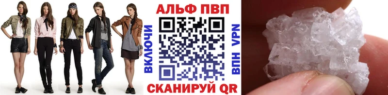 дарнет шоп  Горбатов  Альфа ПВП СК КРИС 