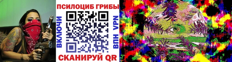 Псилоцибиновые грибы Cubensis  купить закладку  Горбатов 